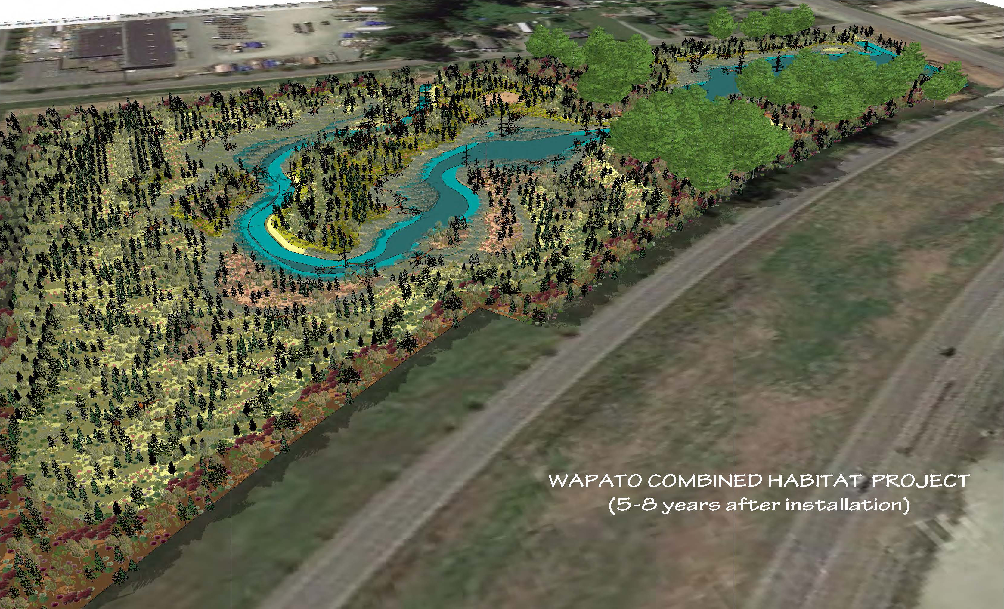 artistic rendering of lower wapato creek