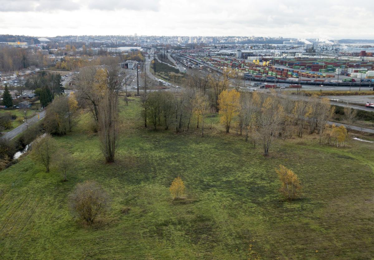 Wapato Creek Habitat Site